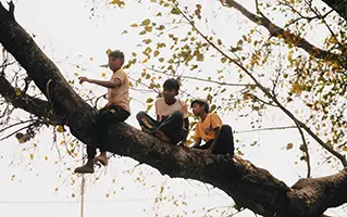 12 de junio: Un llamado a proteger la infancia y erradicar el trabajo infantil